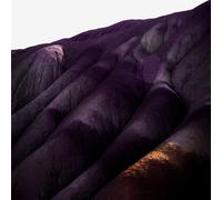 Whispering Sons - Several Others [New Vinyl LP]