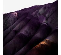 Whispering Sons : Several Others VINYL 12" Album (2021) NEW Amazing Value