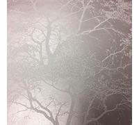 Whispering Trees Wallpaper Grey Off White Glitter Textured Sparkle Forest YL