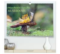 Whispers Beneath the Forest's Moss Mushrooms (High Quality Premium Wall Calendar 2026 DIN A2 landscape),CALVENDO 12 Month Wall Calendar: Mystic and mysterious life of mushrooms in the forest