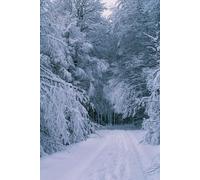 Whispers Beneath the Snow (The Ravencroft Case Files)
