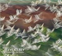 Whispers in the Static by Steve Kilbey CD Album