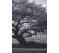 Whispers of the Tree - Dream Journal with Mystical Forest Design, Lined Notebook for Nighttime Reflections & Personal Growth: Filled with Intentional and Thoughtful Prompts, Questions, and Reflections