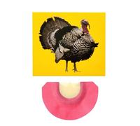 Whistle with Bird Sound Effects, Whistling Whistles, Animal Sounds - Bright Color Noisemaker Toys - Unique and Fun Noisemaker Creatives for April 1st Celebrations