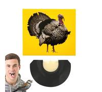 Whistle with Bird Sound Effects, Whistling Whistles, Animal Sounds | Vibrant Colourful Bird Sound Whistle, Joyful and Addictive Noise Makers Whistling Toys for the G