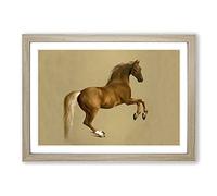 Whistlejacket by George Stubbs Framed Print | A2 Oak Framed Wall Art | Ready to Hang | Modern Nature Picture | Living Room Bedroom Lounge Office