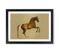 Whistlejacket by George Stubbs Framed Wall Art Print A2 Black | Ready to Hang, Premium Gi Paper, Fade-Resistant Inks, Securely Packaged, UK Made
