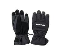 WHISTLER Slough Gloves Black 110