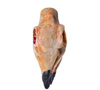 Whistles Adults - Clay Skull Ornament Toy, Screaming Whistle Prank Accessory Featuring Skull Details & Spooky Tones, Portable Noise Charm | Great For Parties, Haunted Houses, Halloween Festivals, Back