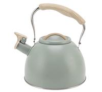 Whistling Teapot 3L Light Green Stainless Steel Flat Bottom Modern Tea Kettle with Engineering Plastic Handle for Home Kitchen Use
