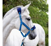 Whitaker Padded Headcollar and Leadrope - Blue - Pony