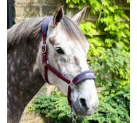 Whitaker Padded Headcollar and Leadrope - Burgundy - Cob