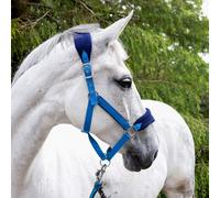 Whitaker Padded Headcollar and Leadrope - Blue - Cob