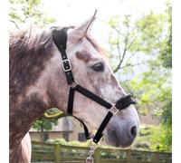 Whitaker Padded Headcollar and Leadrope - full
