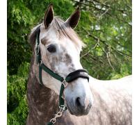Whitaker Padded Headcollar and Leadrope - Green - Cob