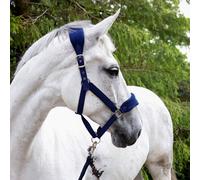Whitaker Padded Headcollar and Leadrope - Navy - Full