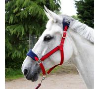 Whitaker Padded Headcollar and Leadrope - Red - Cob