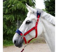 Whitaker Padded Headcollar and Leadrope - Red - Full