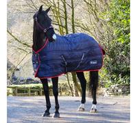 R450 John Whitaker Rastrick V2 100g Fill Standard Stable Horse Rug - Perfect for keeping your horse comfortable all year around (6'9/165cm)