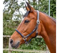 Whitaker Raywell leather and rope headcollar, COB, Navy