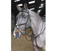 Whitaker Ready to Ride Martingale Black - Pony