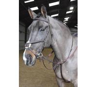 Whitaker Ready to Ride Martingale Havana - Pony