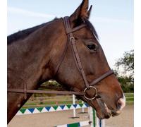Whitaker Ready to Ride Snaffle Bridle Havana - Cob