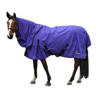 Whitaker Standard-Neck Contrast Horse Turnout Rug Purple (5 6")