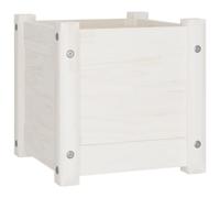 vidaXL Garden Planter Solid Pinewood 31x31x31 cm White