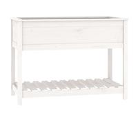 vidaXL Planter with Shelf White 111.5x54x81 cm Solid Pine, White