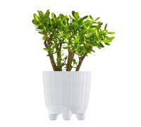 (White, 20cm) Plant Pots Indoor Outdoor Plastic Flowerpot Small Medium Large RYFO 5 Colours
