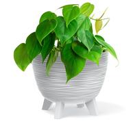 B2C Bowl Planter Plant Pot with Legs Oval Flower Modern Decorative FURU Indoor 4 Colours Modern Elegant Plqastic Matt Finish Textured Home Office Balcony Lightweight (White, 29cm)
