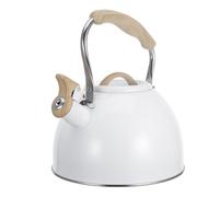 White 3l Stainless Steel Whistling Tea Kettle with Nylon Handle