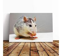 White and Grey Rat Canvas Print | Gallery Wrapped 30mm Frame Wall Art | 30x20 inches | Ready to Hang | Contemporary Picture | Living Room Bedroom Lounge Office