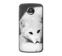 White Arctic Fox Case Cover For Motorola Moto Z2 Play, Z2 Force