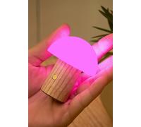 White Ash Alice Mushroom Lamp 7 Colour Changing RGB - Super Mini Gingko Design Multi One Size