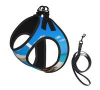 White Beach Tropical Sea Print Dog Harness Small Sized And Leash Set, Step In Soft Light Puppy Vest Breathable Mesh Pet Harness