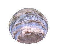 White Beach Tropical sea Print Washable Reusable Shower Cap/Hair Hat With Lining/Elastic Fit All Hair Lengths