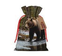 White Bear Brown Bear Print Eco-Friendly Gift Drawstring Bag Holiday Present Pouches Party Favors Goodie Bags