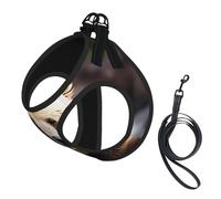 White Bear Brown Bear Print Step in Dog Harness and Leash Set,Adjustable Reflective Harness for Small Dogs Cats