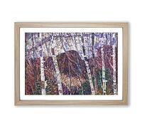 White Birches by Marsden Hartley Framed Print | A2 Oak Framed Wall Art | Ready to Hang | Modern Nature Picture | Living Room Bedroom Lounge Office