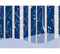 White Birches Christmas Boxed Cards (Greeting Cards) (Deluxe Holiday Card) (Deluxe Boxed Holiday Cards)