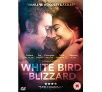 White Bird In A Blizzard