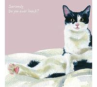 White Black Cat Greeting Card - Ever Knock