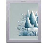 White, Black, Oak, Silver Photo, Picture Frame (Modern, Silver, 12 x 8 Inch)