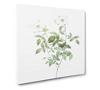 White Blooming Roses by Pierre Joseph Redoute Canvas Print | Gallery Wrapped 30mm Frame Wall Art | 20x20 inches | Ready to Hang | Retro Floral Picture | Living Room Bedroom Lounge Office