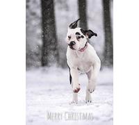 White Boxer Dog in the Snow Christmas Greetings Card 125mm x 178mm Including Envelope GC460