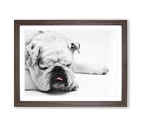 White British Bulldog Dog No.1 Modern Framed Print | A2 Walnut Framed Wall Art | Ready to Hang | Modern Flag Picture | Living Room Bedroom Lounge Office