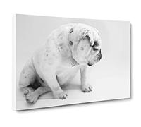 White British Bulldog Dog No.2 Modern Canvas Wall Art Print Ready to Hang, Framed Picture for Living Room Bedroom Home Office Décor, 20x14 Inch (50x35 cm)
