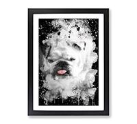 White British Bulldog No.3 Modern Cb Framed Wall Art Print, Ready to Hang Picture for Living Room Bedroom Home Office Décor, Black A4 (34 x 25 cm)